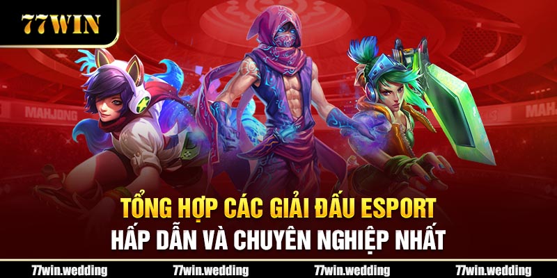 Tổng Hợp Các Giải Đấu Esport Hấp Dẫn Và Chuyên Nghiệp Nhất