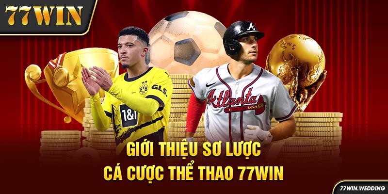 Giới thiệu sơ lược cá cược thể thao 77Win