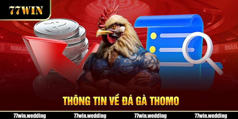 Thông tin về đá gà Thomo