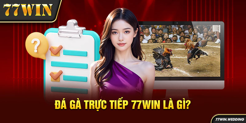 Đá gà trực tiếp 77Win là gì?