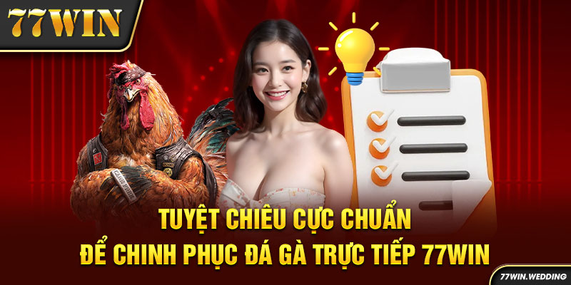 Tuyệt chiêu cực chuẩn để chinh phục đá gà trực tiếp 77Win