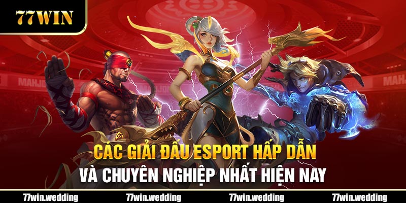 Các Giải Đấu Esport Hấp Dẫn Và Chuyên Nghiệp Nhất Hiện Nay