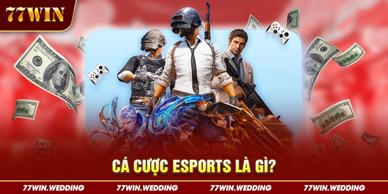 Cá cược Esports là gì?