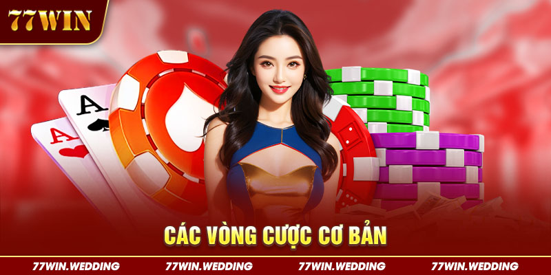 Các vòng cược cơ bản