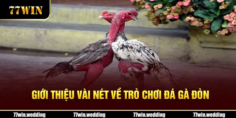 Giới thiệu vài nét về trò chơi đá gà đòn